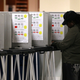 Election Day 2011 (Getty)